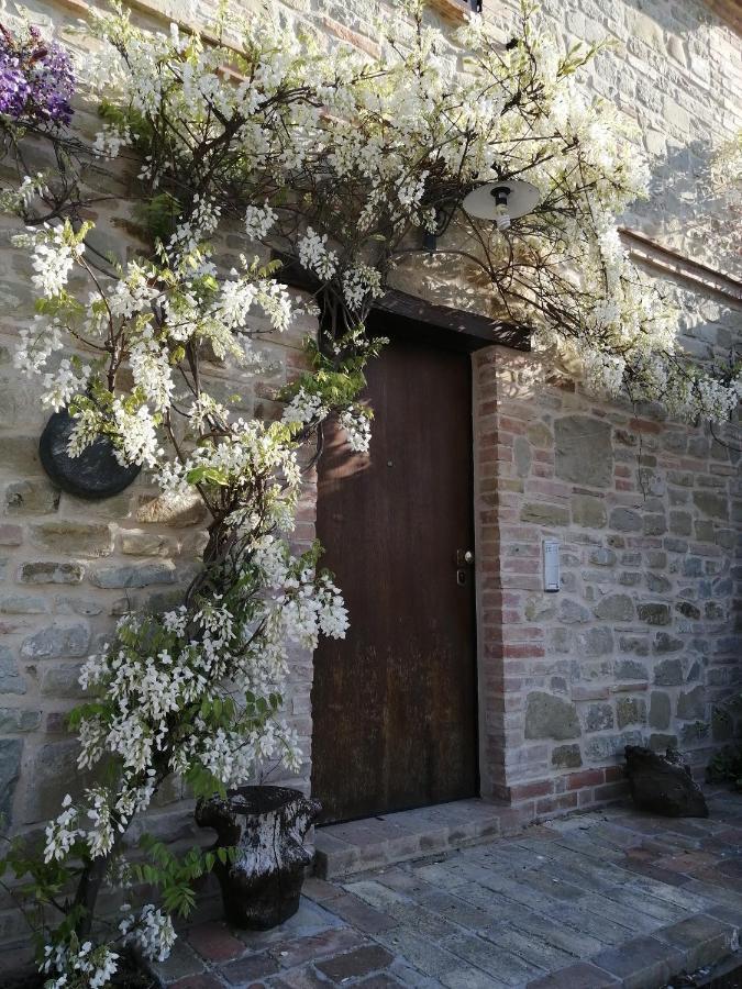 Casale San Martino Agriturismo Bio Sant'Angelo in Pontano Εξωτερικό φωτογραφία