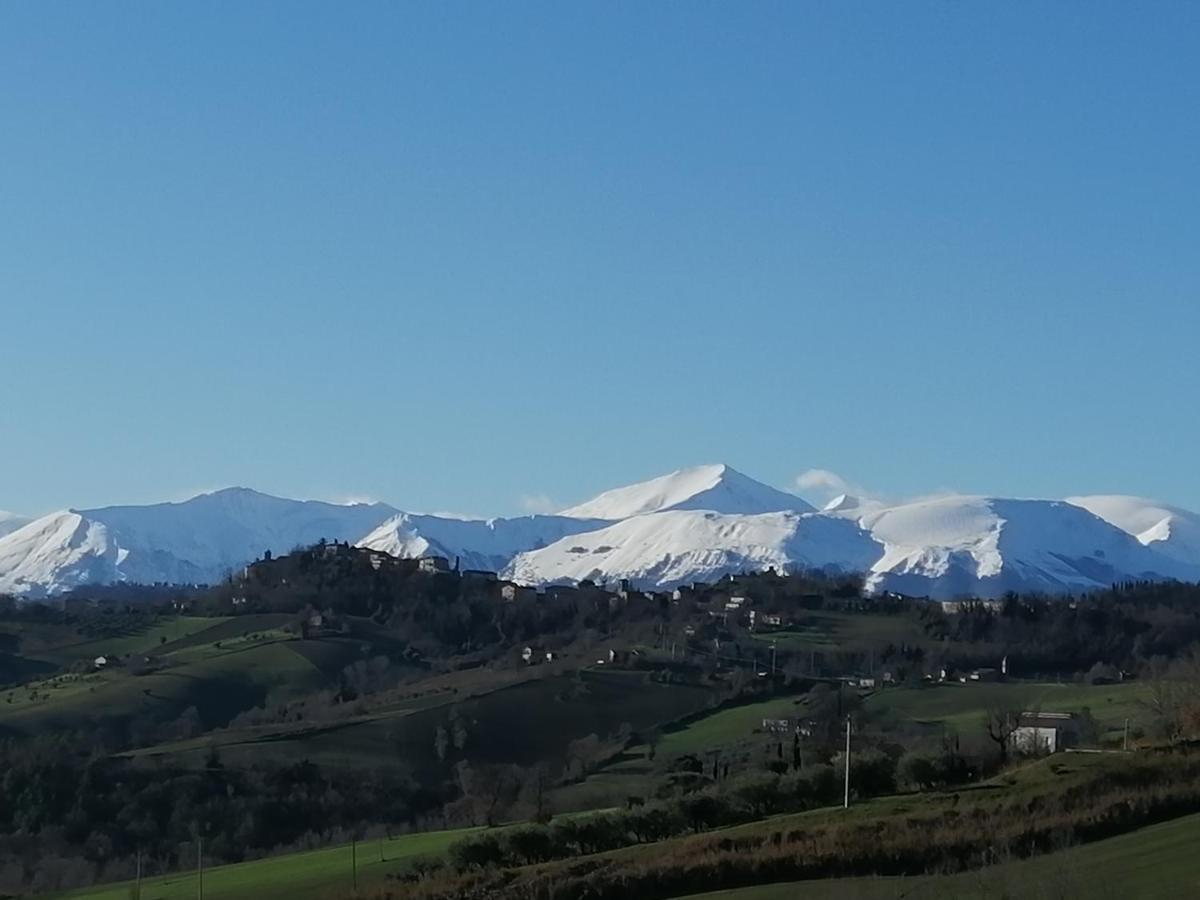 Casale San Martino Agriturismo Bio Sant'Angelo in Pontano Εξωτερικό φωτογραφία