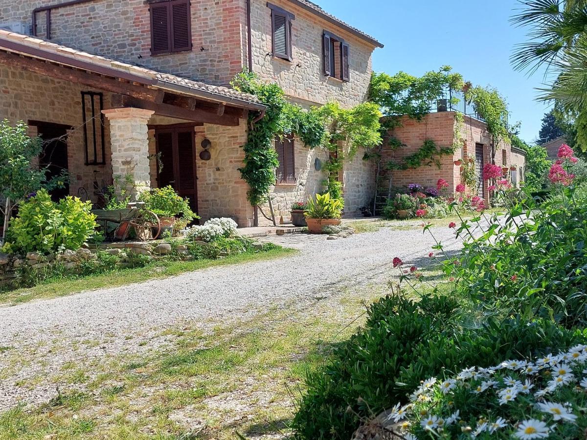 Casale San Martino Agriturismo Bio Sant'Angelo in Pontano Εξωτερικό φωτογραφία