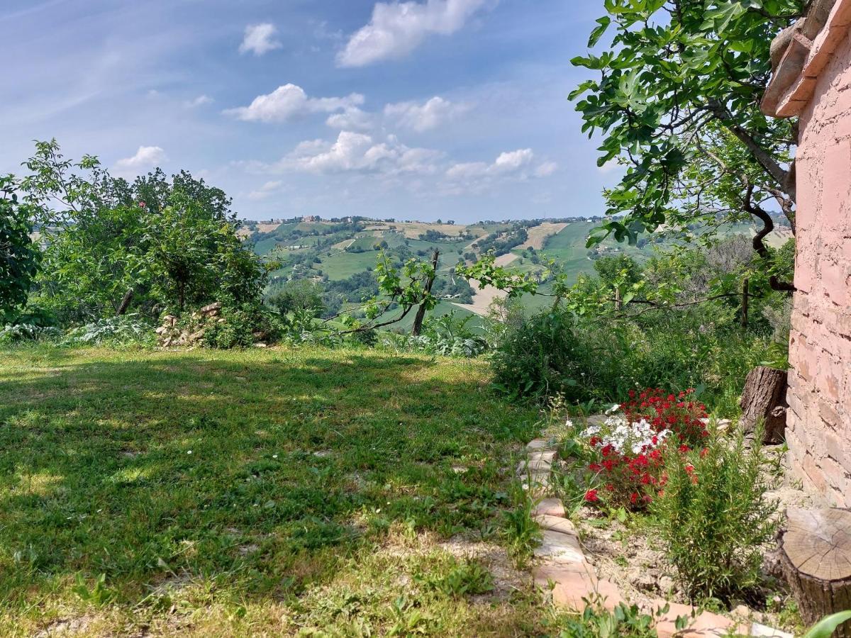 Casale San Martino Agriturismo Bio Sant'Angelo in Pontano Εξωτερικό φωτογραφία