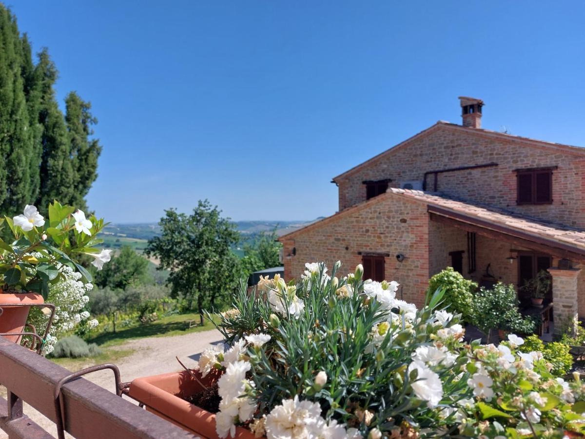 Casale San Martino Agriturismo Bio Sant'Angelo in Pontano Εξωτερικό φωτογραφία