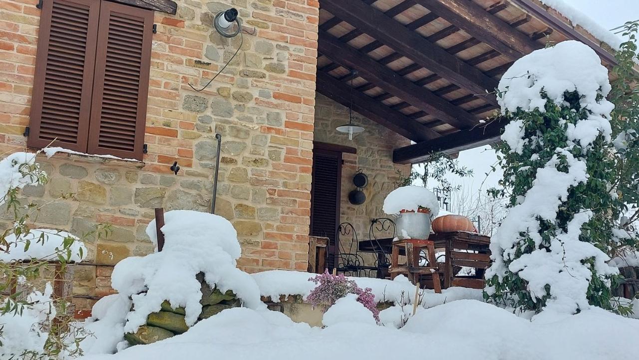 Casale San Martino Agriturismo Bio Sant'Angelo in Pontano Εξωτερικό φωτογραφία